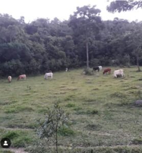 whatsapp-image-2025-07-28-at-14.24.46-6-YanJ5XZ57QTJL264